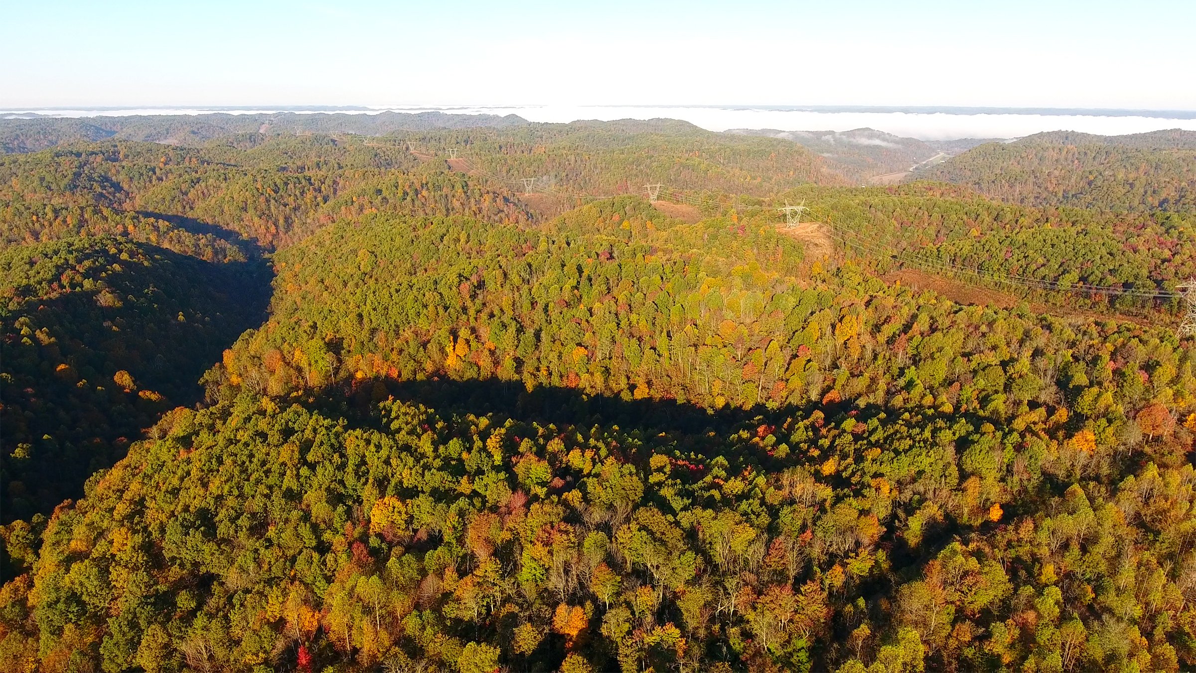 Property photo 26 - LAND AUCTION - 1,682+/- ACRES OFFERED IN 17 TRACTS IN LEWIS & GREENUP COUNTIES, KENTUCKY